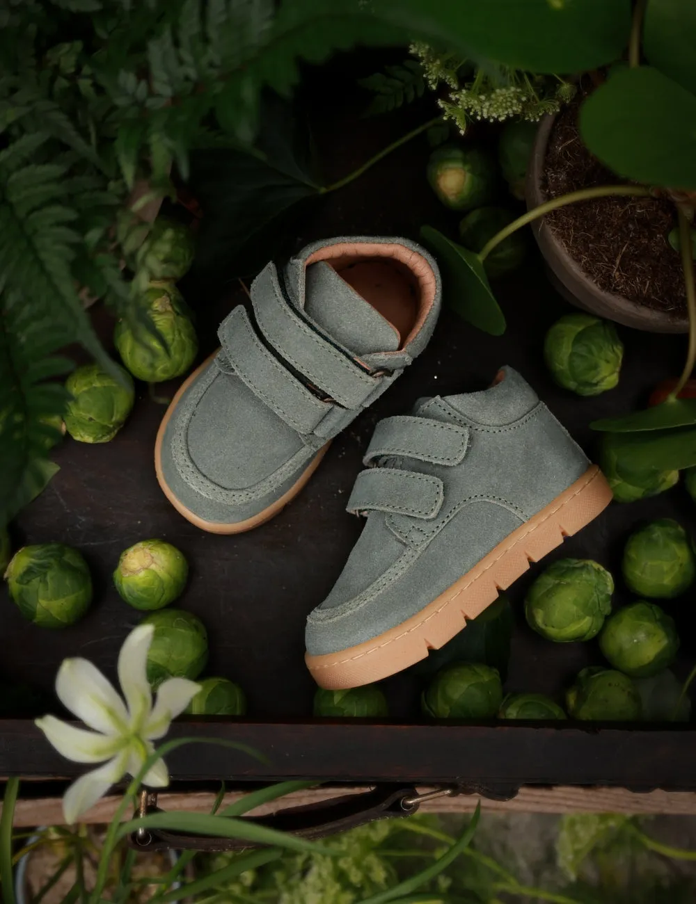 Chubby Cruiser velcro - Dove Suede